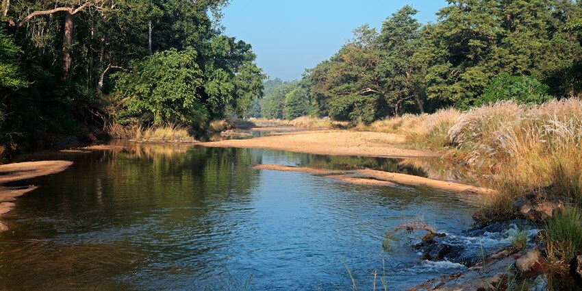 This sanctuary is an unmissable destination while exploring the city of Dimapur
