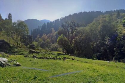 The lush grrenery, an example of great vegetation in Himachal as visible on a sunny day.