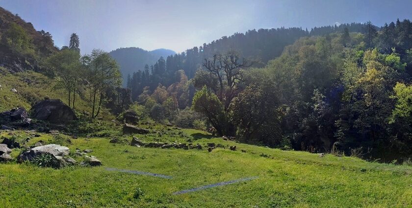 The lush grrenery, an example of great vegetation in Himachal as visible on a sunny day.