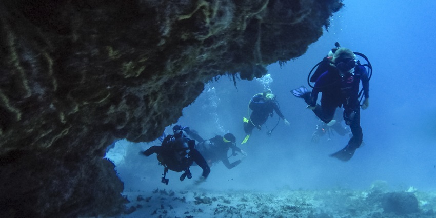 Scuba divers exploring the depths of the dive site