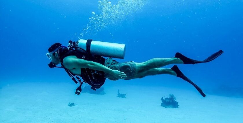 A scuba diver clicked enjoying underwater