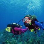 Divers enjoying scuba diving in a sea