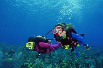 Divers enjoying scuba diving in a sea