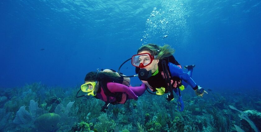 Divers enjoying scuba diving in a sea