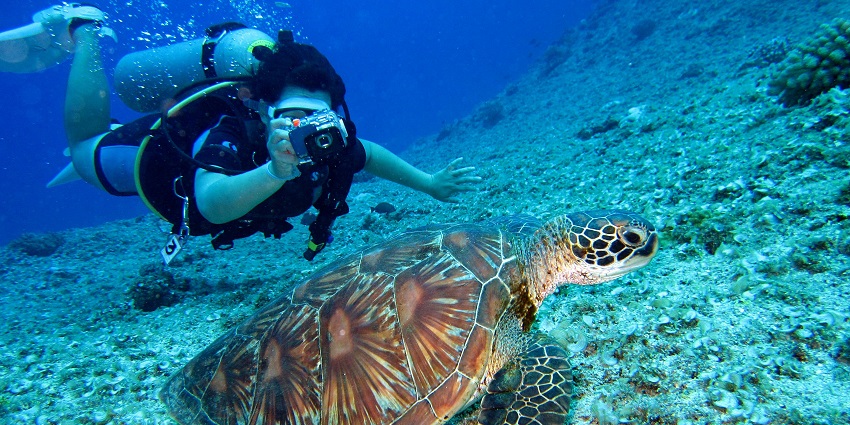 Snapshot of scuba diver and a rare sea turtle–Things to do in Maldives for Couple