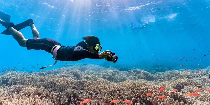 Indulging in scuba diving is one of the most liberating experiences for any traveller.