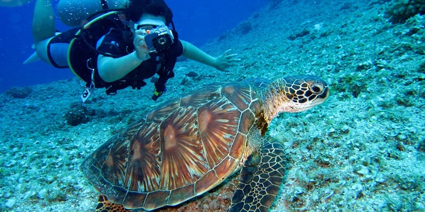 Partake in scuba diving, and grab a chance to witness vibrant coral reefs under the water.