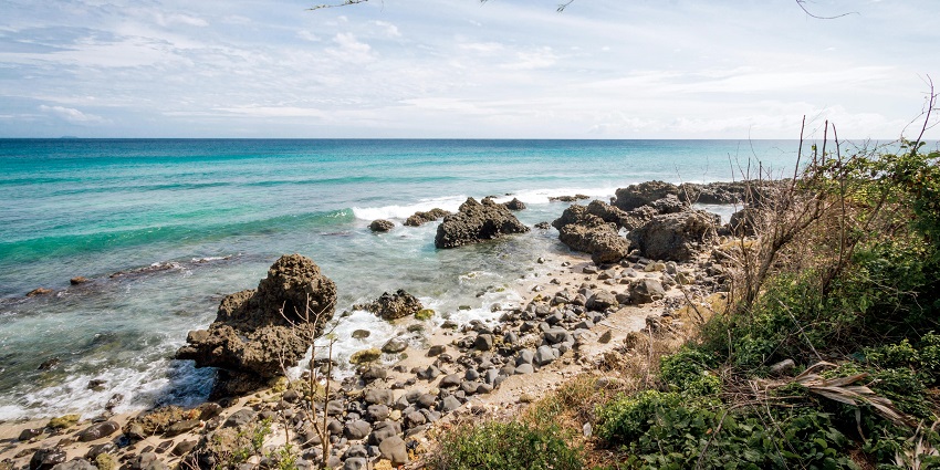 Serene seashore with gentle waves lapping against the sandy beach and a calm horizon.