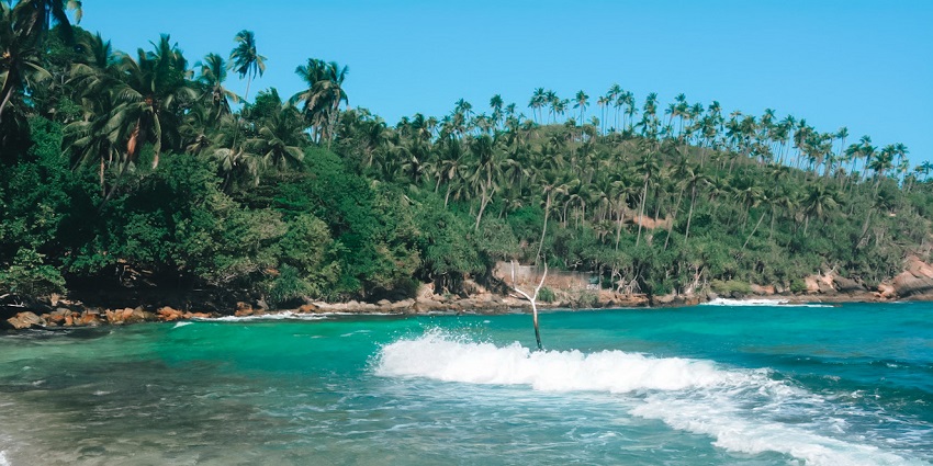 Serene beach in Mirissa with golden sand, gentle waves, and lush greenery.