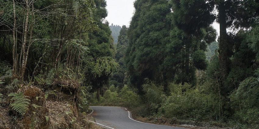 You can reach the destination through this road which renders picturesque views of the landscape.