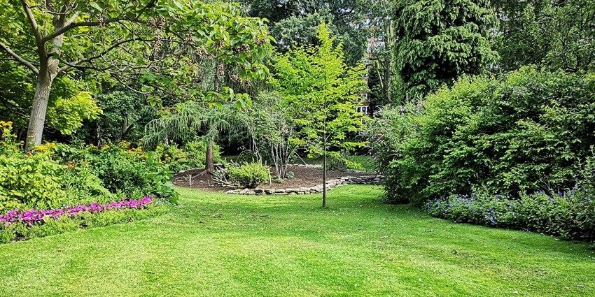 A quaint spot to have a picnic, the Sewaro Rock Garden is covered with lush greenery.