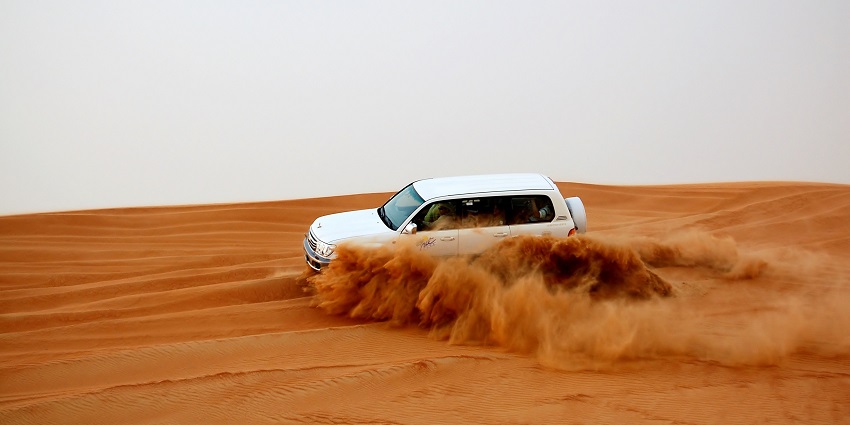 Fossil Rock offers not only desert camping Dubai services but also a glimpse of marine life.