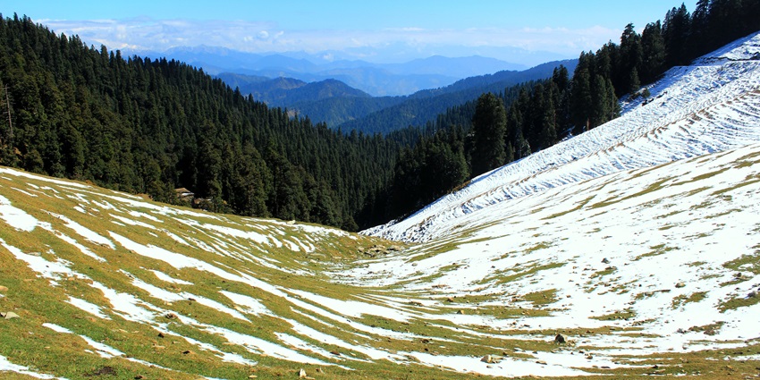 A picture of a scenic meadow with a cover of snow and an alpine forest in the background