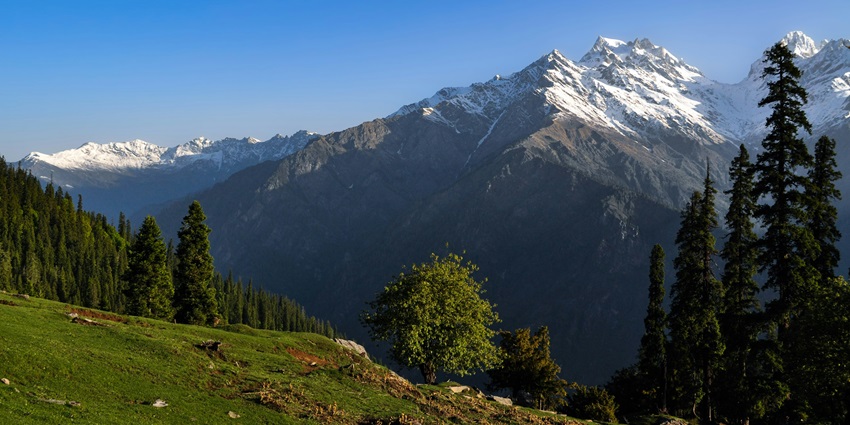 Enjoy an enthralling trek, surrounded by lush greenery, to the Shilha Village in Himachal