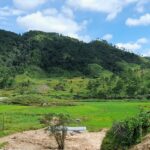 A stunning view of a valley in Shillong surrounded by lush greenery and mountains.