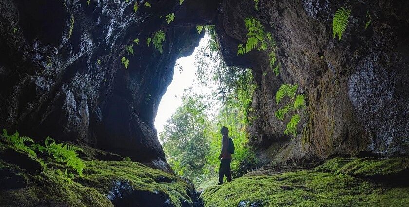 A beautiful cave entrance with a convex opening chicken from the inside