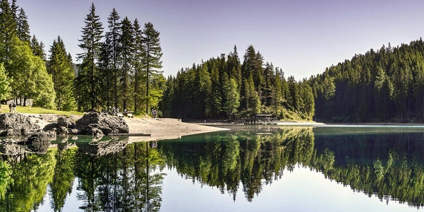 Shimla Water Catchment Wildlife Sanctuary is a must-visit sanctuary for nature lovers.