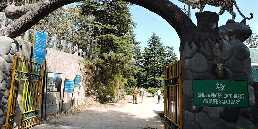 A picture of the entrance gate of a famous wildlife sanctuary in Himachal Pradesh.