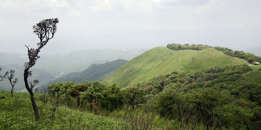 Shiroi Hill National Park is one of the best wildlife sanctuaries in Manipur for all.