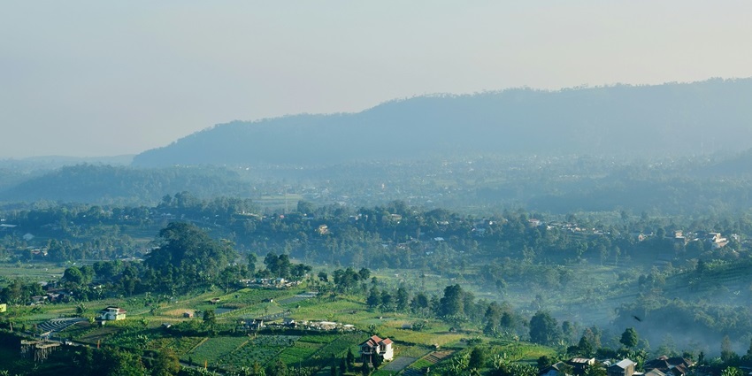 Shirui Kashung Peak is one of the popular places to visit in Manipur for scenic views.