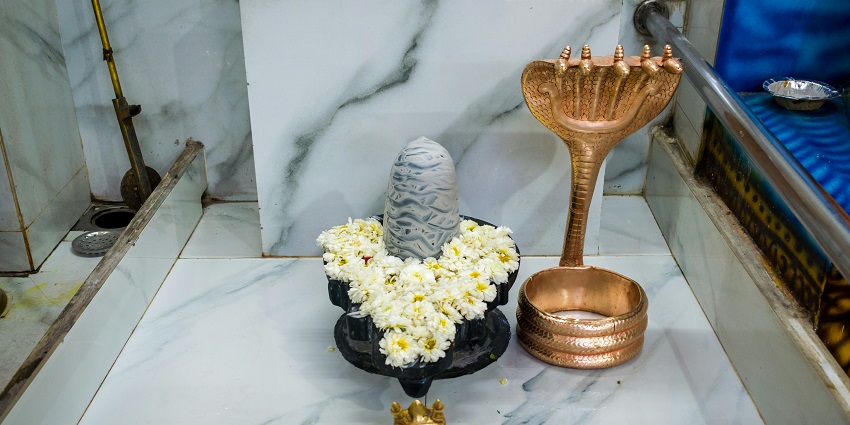 While exploring the Punyagiri Temple, do not forget to take darshan of the Shiva Lingam.