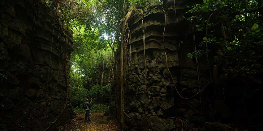 Scenic snapshot of the enchanting Siju Cave of Meghalaya-offbeat places in Meghalaya