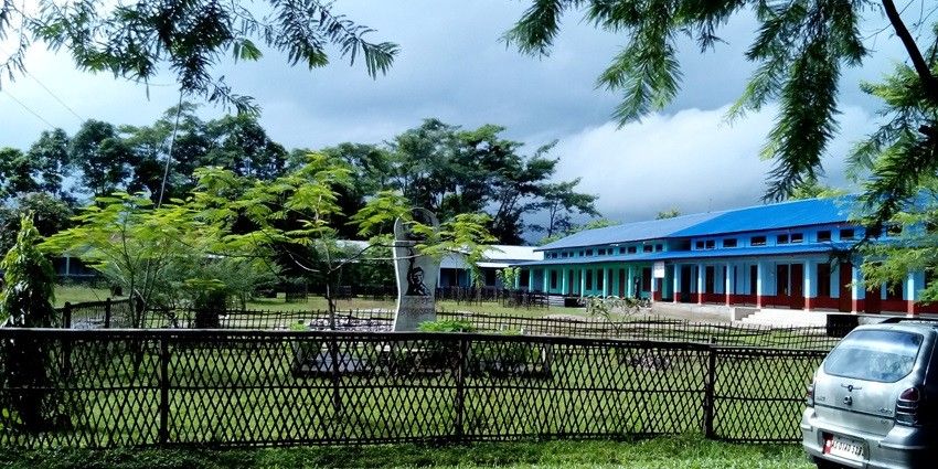 This town is for travellers to explore the bustling city life of Dhemaji, wandering through the street markets