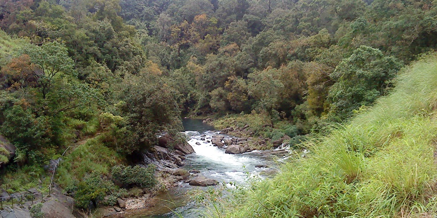 A serene view of Silent Valley National Park, a tourist spot near Njandirukki Waterfalls.