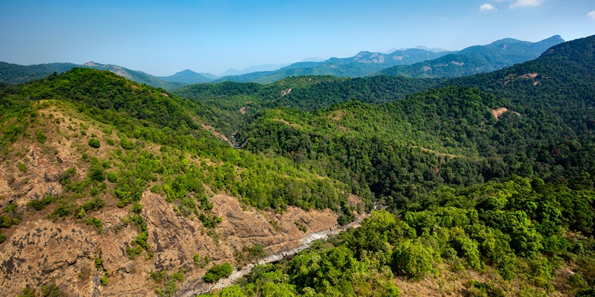 Hills of Silent Valley National Park