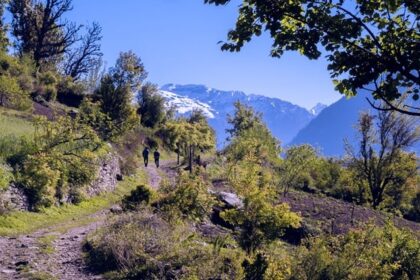 Simbalbara national park is the best destination for tourists seeking an off-beat getaway