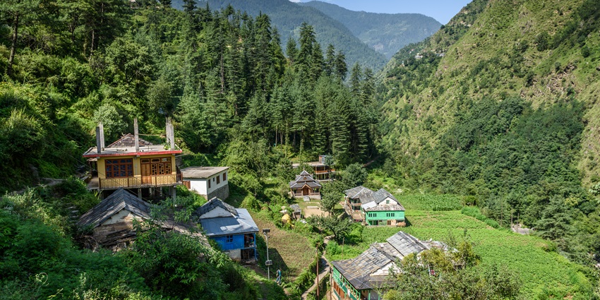 This wildlife sanctuary, nestled at the foot hills of Shivaliks, houses a rich biodiversity