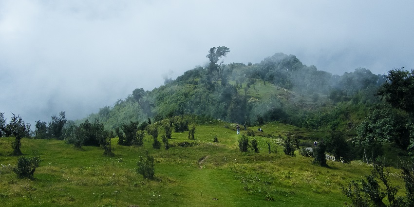 A view of verdant valleys and lush greenery at Singalila National Park, West Bengal.