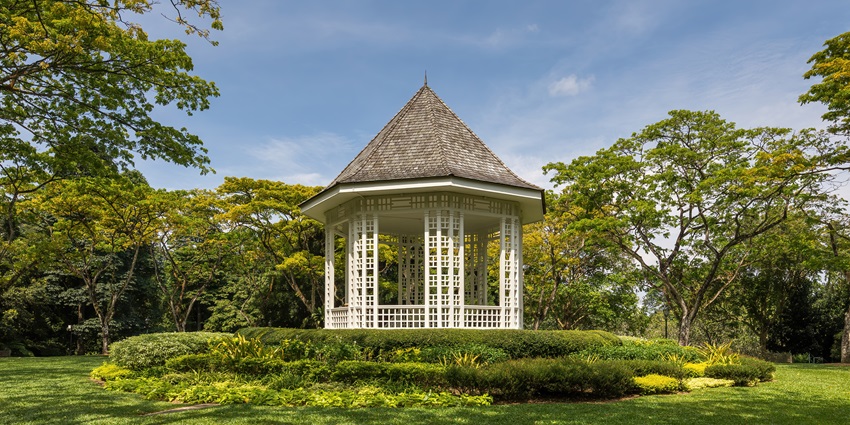 Relaxing amidst the Singapore Botanic Gardens is one of the best things to do in Singapore for couples.