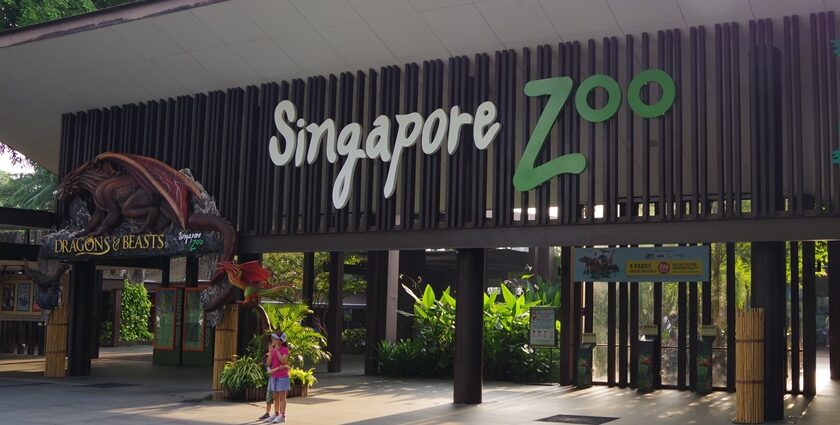 Singapore Zoo entry, showcasing the grand entrance with welcoming signage, lush greenery.