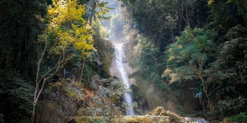 A view of water dripping from the rocky terrains surrounded by lush green vegetation.
