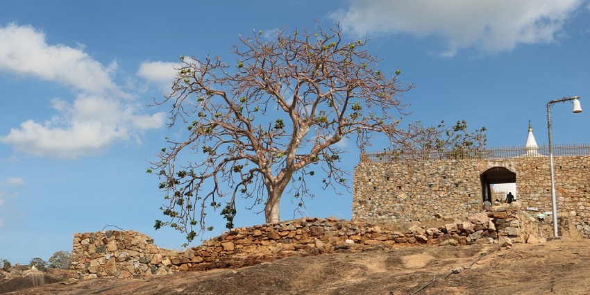 Sithulpawwa Rock Temple is situated within the premises of the Yala National Park.