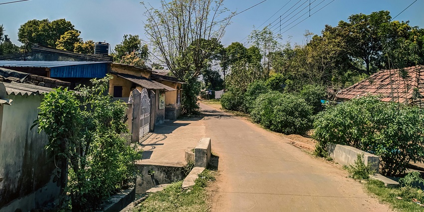 Sitong Village is one of the top places to visit near Mirik due to its orange orchards.