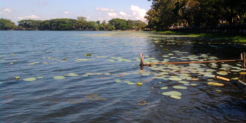A view of serene waters of Sivasagar surrounded by dense trees, an idyllic place in Assam.