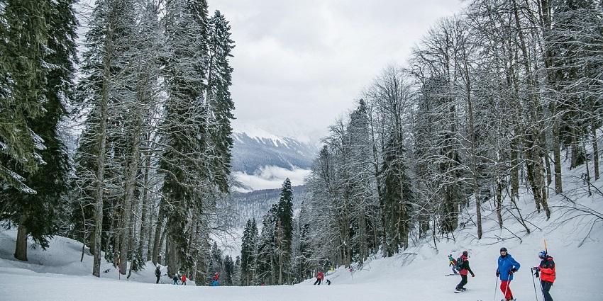 Skiing, along crisp mountain air and breathtaking backdrops, is among the adventure sports in Himachal Pradesh.