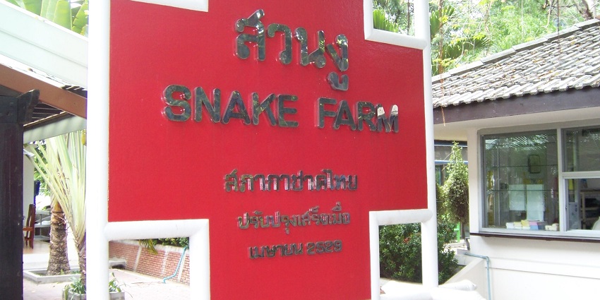 Snake farm shows many venomous and non-venomous snakes to the tourists.