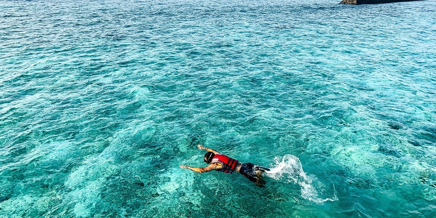 An image of a person enjoying snorkelling in the crystal-clear waters of Maldives