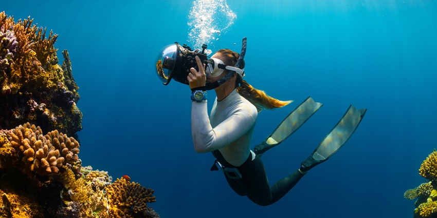 Witness the unique marine life while snorkelling in the clear waters of Thailand.