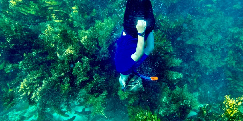 Indulge in the thrilling activities of snorkelling and diving in the waters of Thailand.