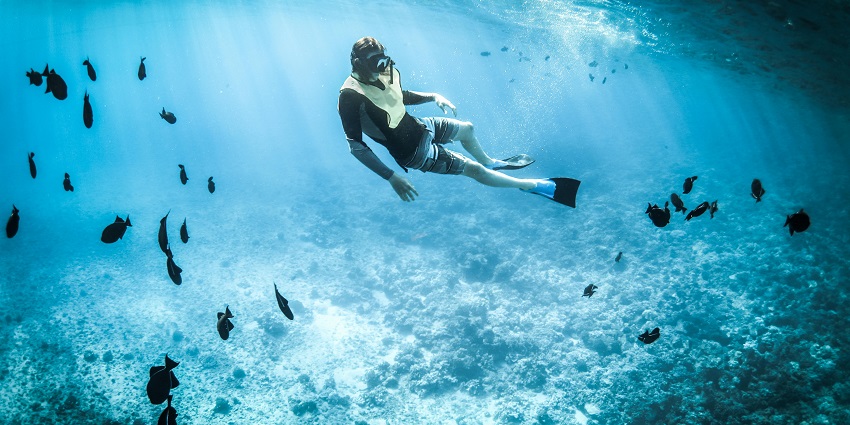 Snorkelling is among the top water sports in Sri Lanka giving a glimpse of marine life.
