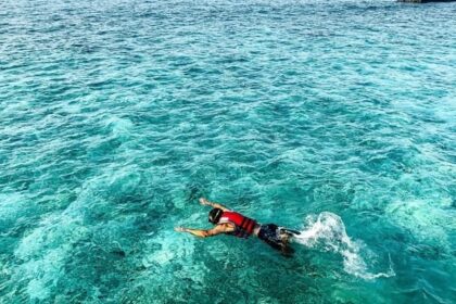 A glimpse of a person swimming in the turquoise-blue waters of the majestic sea.