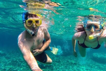 Snorkellers enjoying the underwater world and taking pictures with the surreal marine life