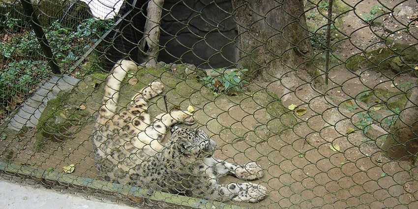 This national park is a perfect place for wildlife lovers to explore the majestic biodiversity