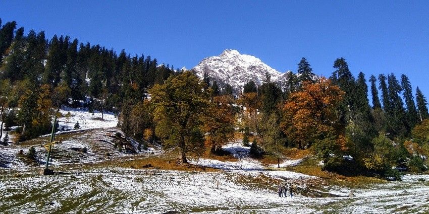 Image of a serene snowy field with trees and a majestic mountain in the background.