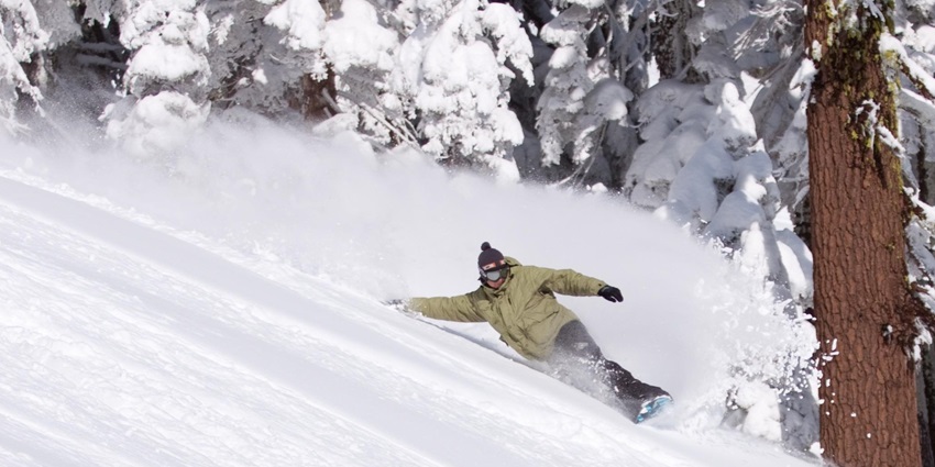 A view of a person snowboarding on a thick layer of snow with tall trees on the side.