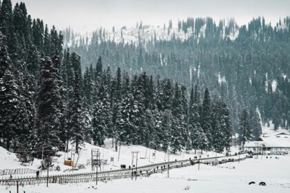 Snow covered meadows in Gulmarg in winters - find best camping in Gulmarg